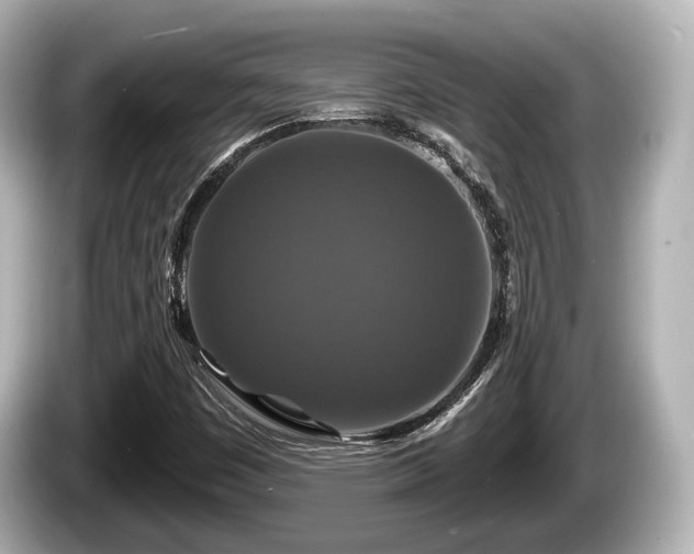 X0000085301449200703161425