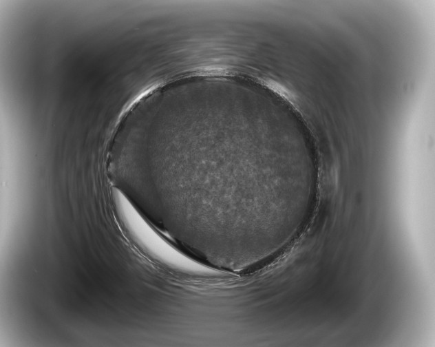 X0000085301450200703161425