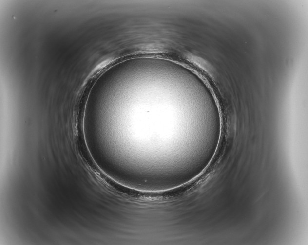 X0000085301451200703161425