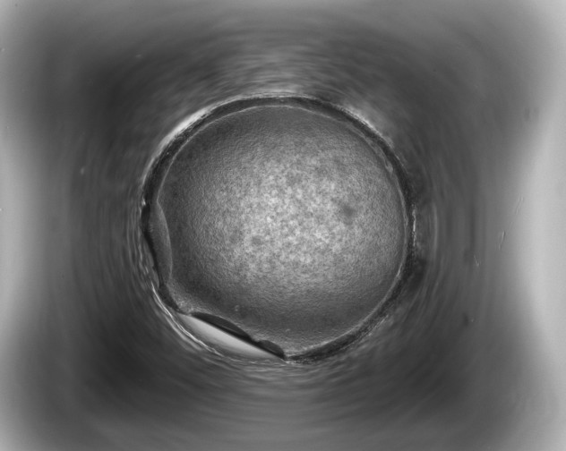 X0000085301452200703161425