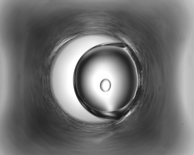 X0000085301453200703161425