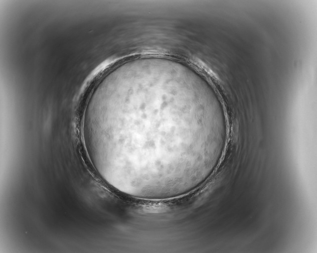 X0000085301454200703161425