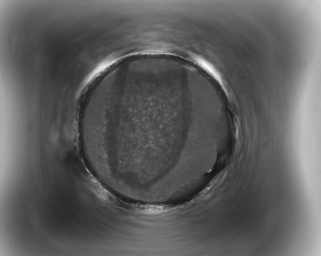 X0000085301456200703161425