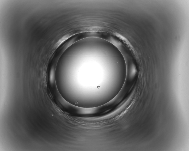 X0000085301457200703161425