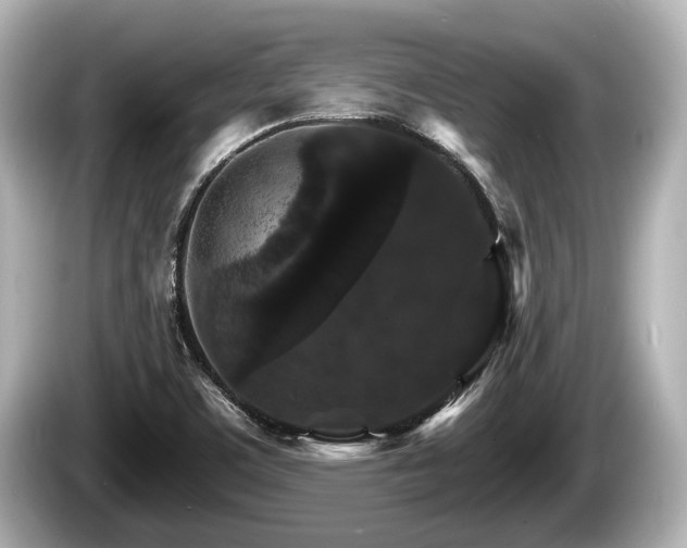 X0000085301459200703161425