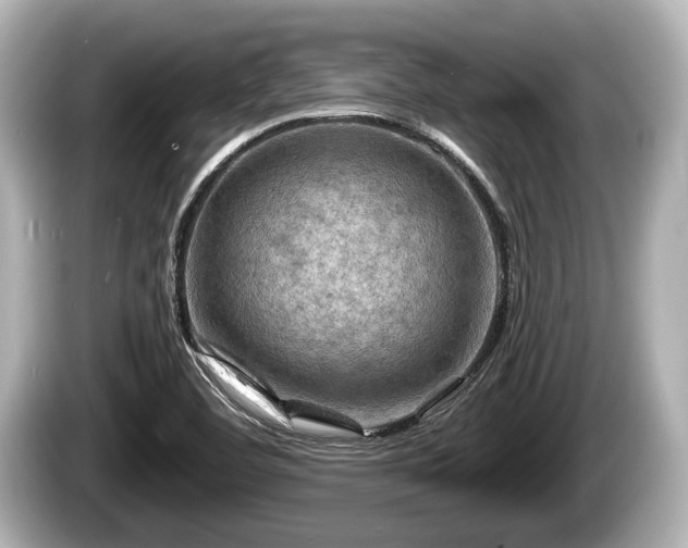 X0000085301460200703161425