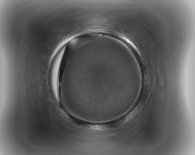 X0000085301461200703161425