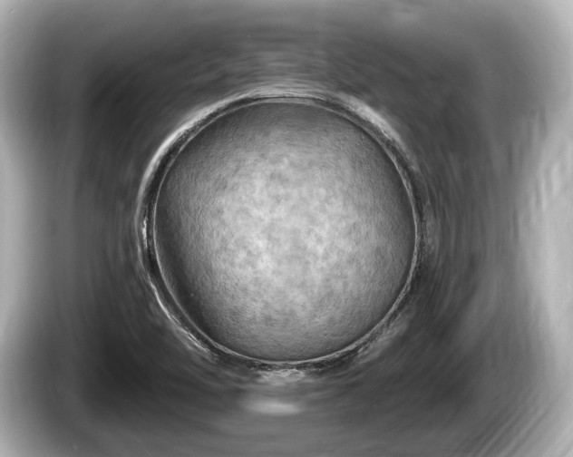 X0000085301462200703161425