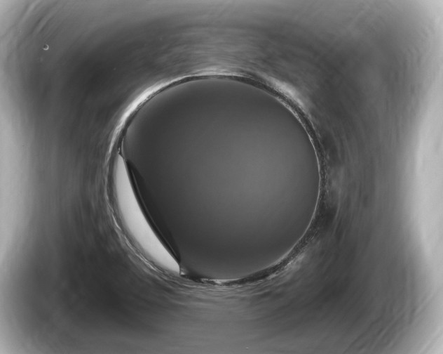 X0000085301463200703161425