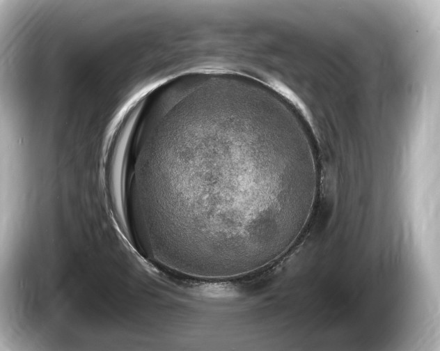 X0000085301464200703161425