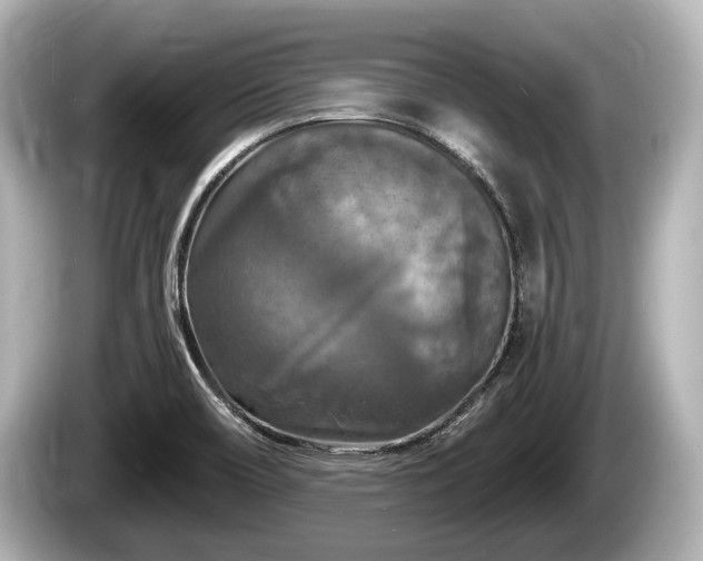 X0000085301466200703161425