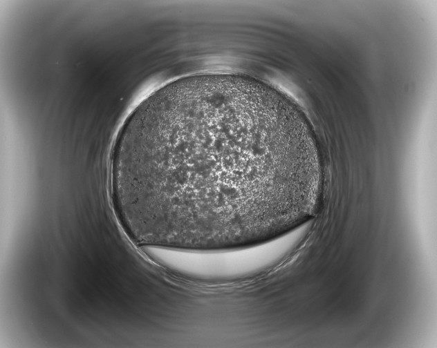 X0000085301467200703161425