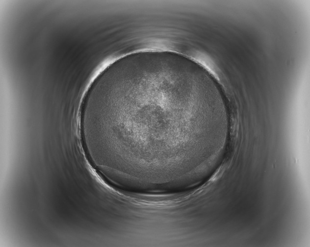 X0000085301468200703161425