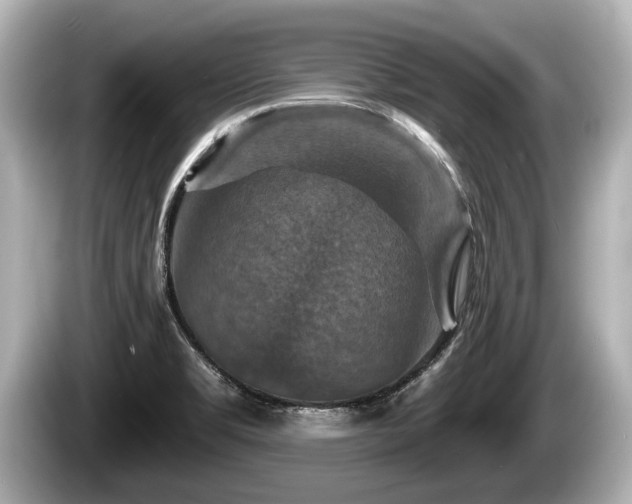 X0000085301469200703161425