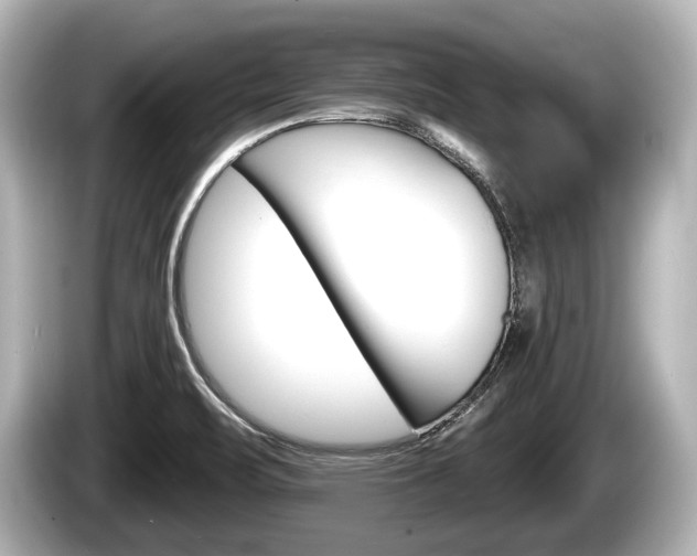 X0000085301471200703161425