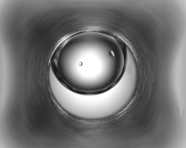 X0000085301473200703161425