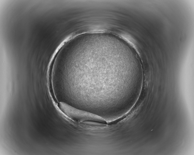 X0000085301475200703161425