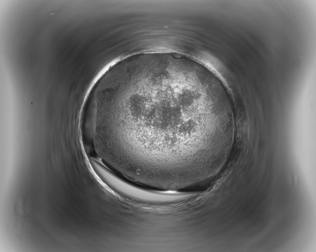 X0000085301476200703161425