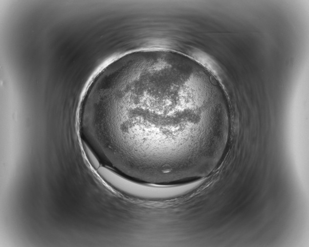 X0000085301480200703161425