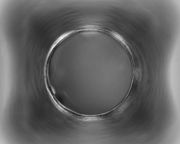 X0000085301482200703161425