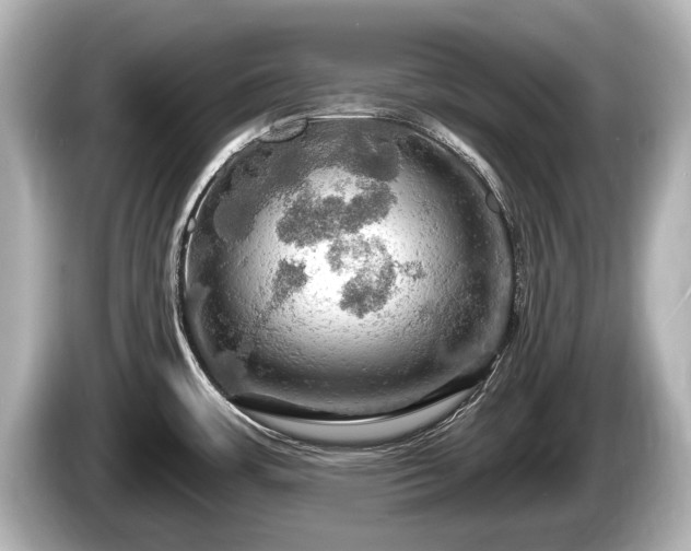 X0000085301483200703161425