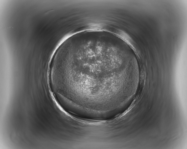 X0000085301484200703161425