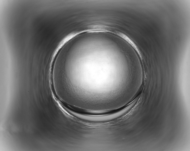 X0000085301485200703161425