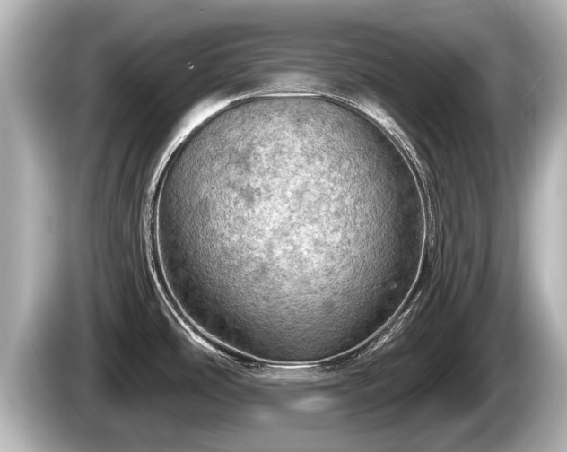 X0000085301486200703161425