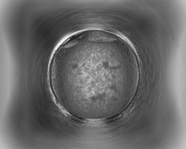 X0000085301488200703161425