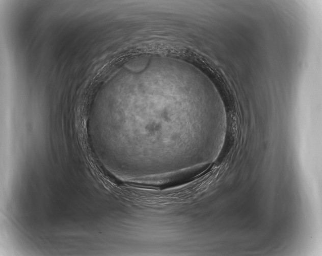 X0000085301489200703161424