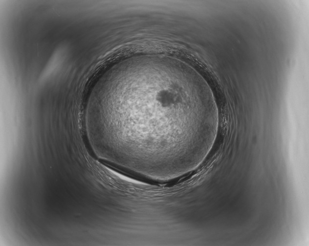 X0000085301490200703161424