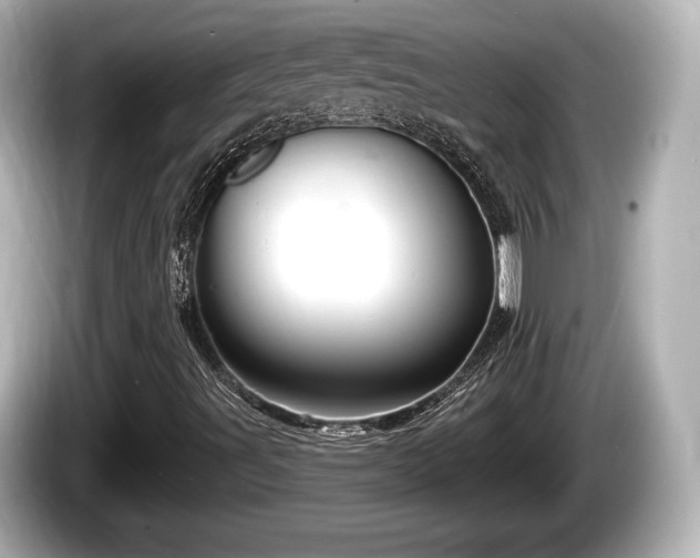 X0000085301491200703161424