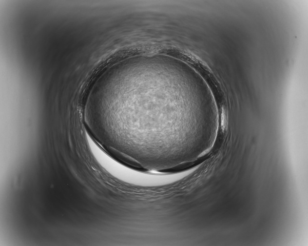 X0000085301492200703161424