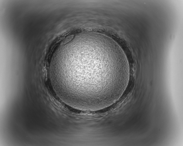 X0000085301493200703161424