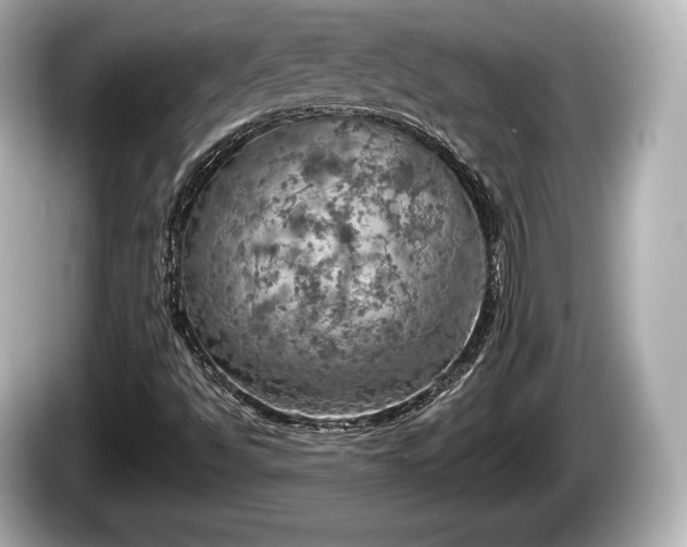 X0000085301494200703161424