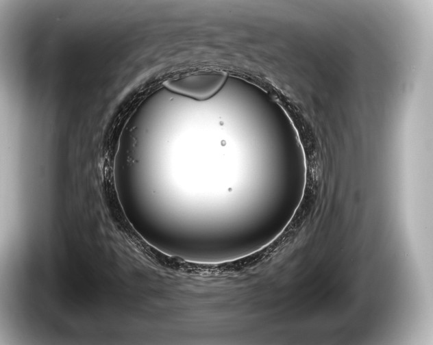 X0000085301495200703161424