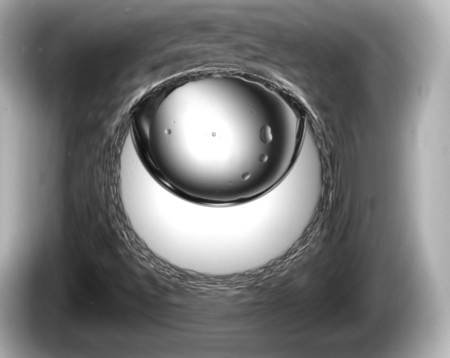 X0000085301496200703161424