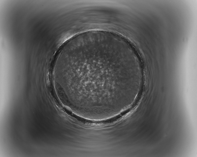 X0000085301497200703161424