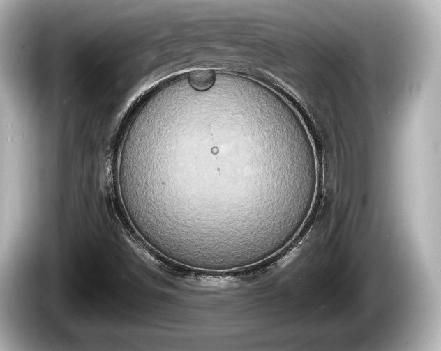 X0000085301498200703161424