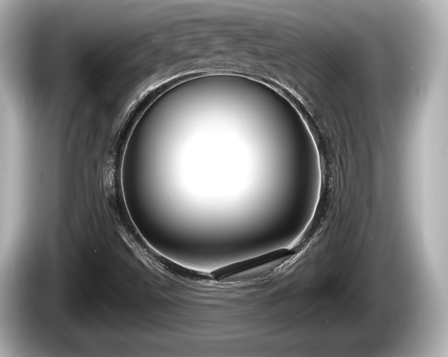 X0000085301499200703161424