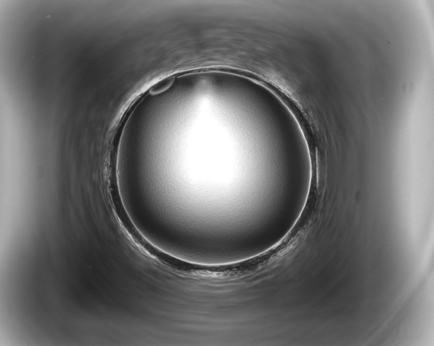 X0000085301500200703161424