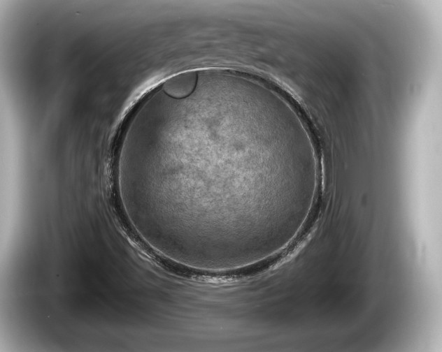 X0000085301501200703161424