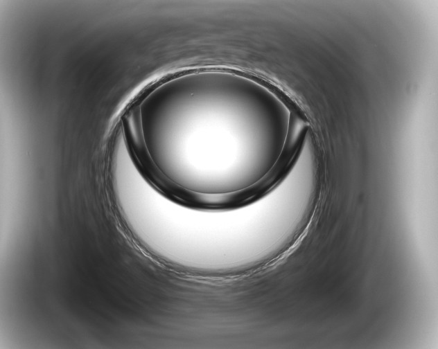 X0000085301502200703161424