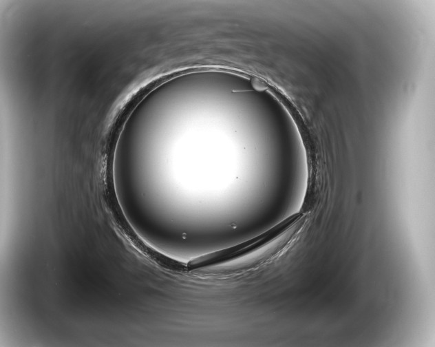 X0000085301503200703161424