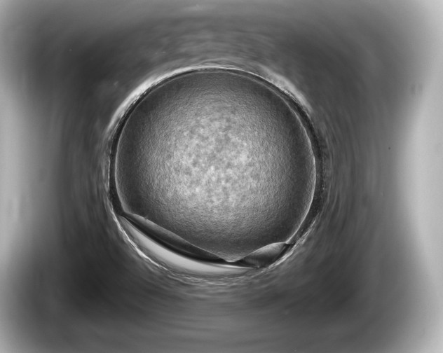 X0000085301504200703161424