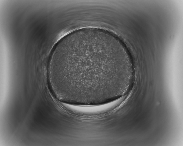 X0000085301505200703161424