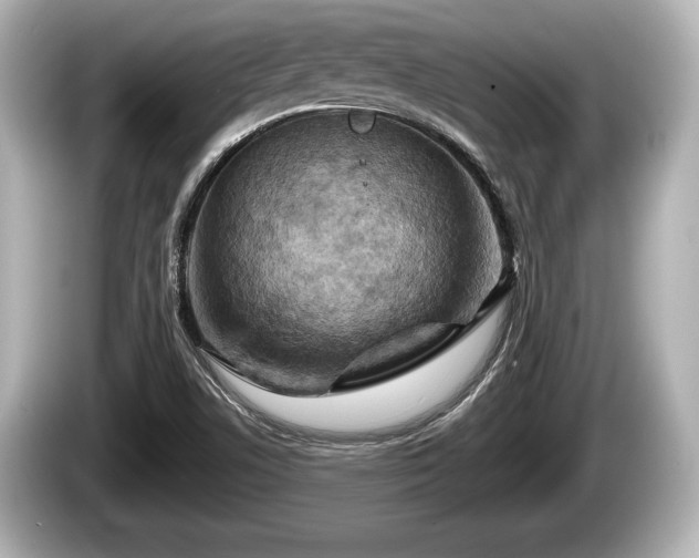 X0000085301506200703161424