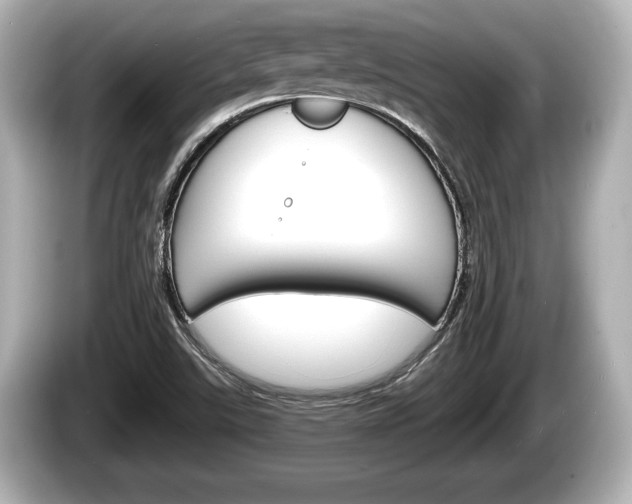 X0000085301507200703161424