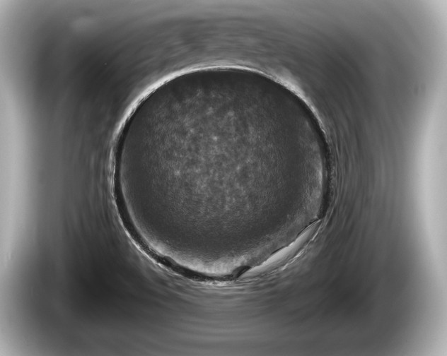 X0000085301508200703161424