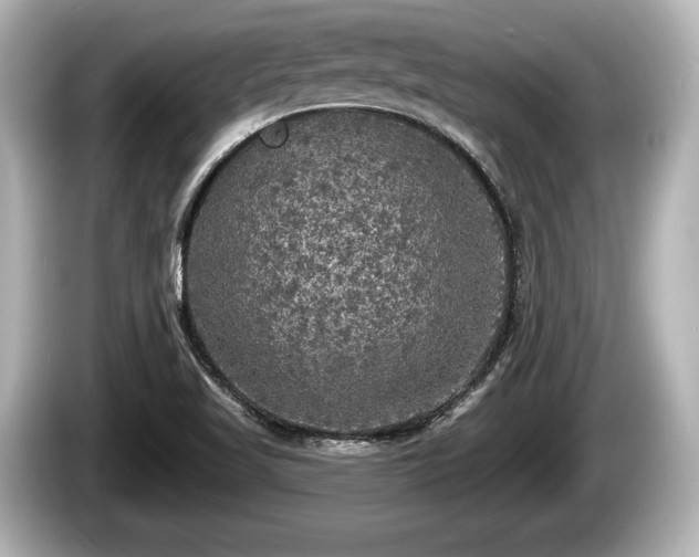 X0000085301509200703161424